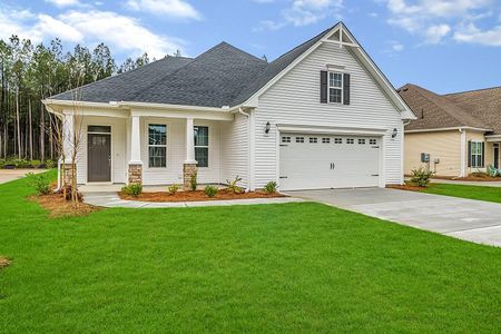 New construction Single-Family house 2006 Grange Circle, Goose Creek, SC 29486 Chadwick- photo 0