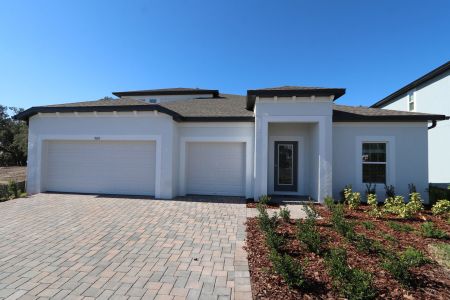 New construction Single-Family house 9603 Crescent Ray Dr, Wesley Chapel, FL 33545 Barcello Bonus- photo 75 75