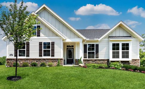 New construction Single-Family house 302 Sheephead Byu, Panama City Beach, FL 32407 plan Calvin - image