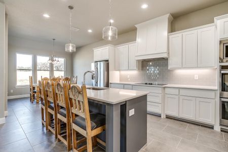 New construction Single-Family house 200 Sarra Ln, Poolville, TX 76487 plan Augusta Court - image 18