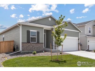 New construction Single-Family house 857 Emerald Lakes St, Severance, CO 80550 - image