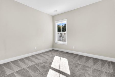 New construction Single-Family house 1089 Saltwater Cir, Johns Island, SC 29455 Duvall II- photo 35 35