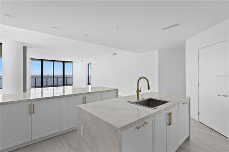 New construction Condo house 2912 W Santiago St, Unit 1401, Tampa, FL 33629 - image 5