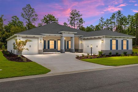 New construction Single-Family house 10080 Sw 106Th Cir, Ocala, FL 34481 - image