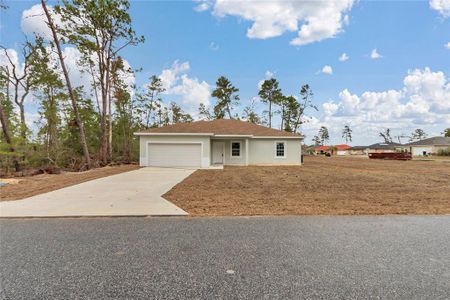 New construction Single-Family house 15740 Sw 55Th Avenue Rd, Ocala, FL 34473 - image