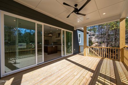 New construction Single-Family house 20 Canvasback Ct, Pittsboro, NC 27312 - image