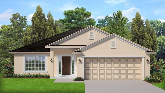 New construction Single-Family house 13951 Nw 150Th Cir, Alachua, FL 32615 - image