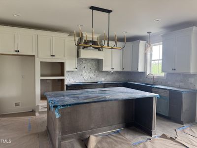 New construction Single-Family house 20 Serenity Woods Trl, Franklinton, NC 27525 null- photo 20 20