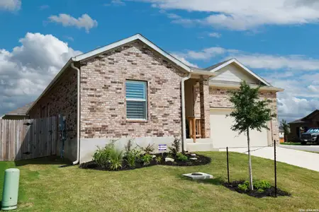 New construction Single-Family house 5904 American Elm, Bulverde, TX 78163 plan Jardin - image
