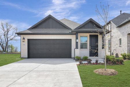 New construction Single-Family house 806 Sagebrush Trl, Sherman, TX 75092 plan Blueberry Ash - image