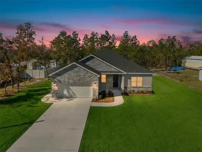 New construction Single-Family house 15171 Pomp Pkwy, Weeki Wachee, FL 34614 - image