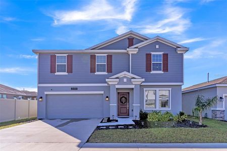 New construction Single-Family house 26100 Bristleleaf Ct, Leesburg, FL 34748 Providence- photo 0