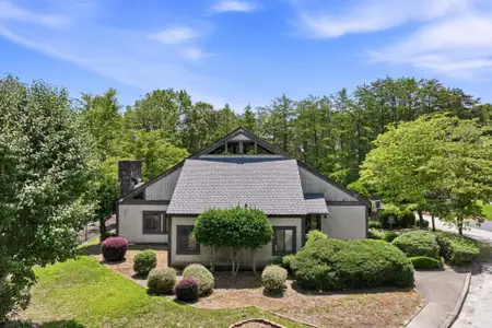 New construction Single-Family house 84 Schwarzwald Strasse, Helen, GA 30545 - image