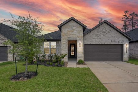 New construction Single-Family house 622 Paisley Harbor Ct, Conroe, TX 77304 - image