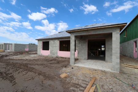 New construction Single-Family house 3324 Fall Harvest Dr, Zephyrhills, FL 33540 Salinas- photo 21 21