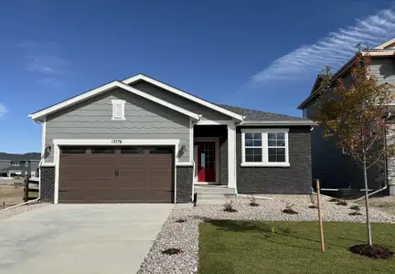 New construction Single-Family house 13776 Daffodil Wy, Parker, CO 80108 plan Alpine - image