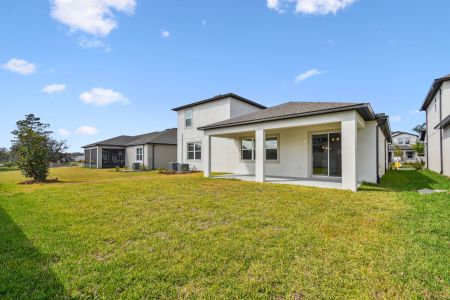 New construction Single-Family house 4774 Beachrose Way, Lakeland, FL 33811 Barcello Bonus- photo 107 107