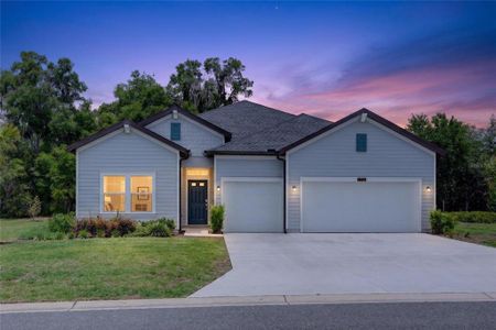 New construction Single-Family house 7772 Sw 195Th Ave, Dunnellon, FL 34432 - image