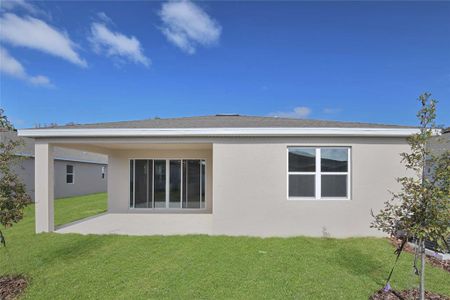 New construction Single-Family house 4216 Sawtooth Ct, Tavares, FL 32778 Ruby- photo 14 14