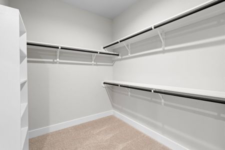 New construction Single-Family house 3410 Everglade Ln, Rosenberg, TX 77471 plan 664 - image 9