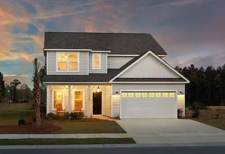 New construction Single-Family house 4203 Hollow Wind Way, Summerville, SC 29485 - photo 0