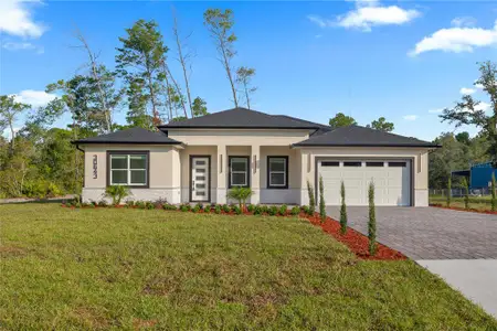 New construction Single-Family house 30643 Apricot Ave, Eustis, FL 32736 - image