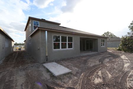 New construction Single-Family house 20243 Oriana Loop, Land O' Lakes, FL 34638 Corina  III Bonus- photo 73 73