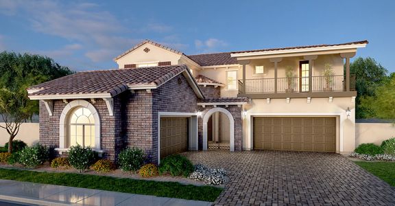 Earnhardt Ranch by Blandford Homes in Chandler - photo 7 7