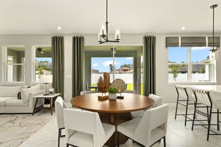 New construction Single-Family house 9623 Peace Dr, Orlando, FL 32832 plan Shenandoah - image 9