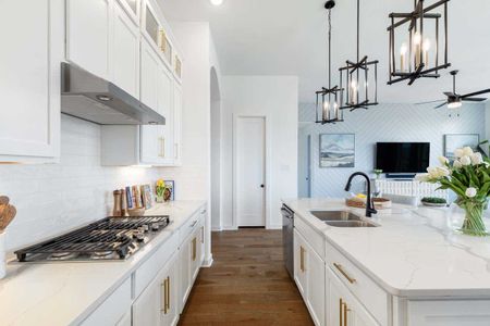 New construction Single-Family house Van Alstyne, TX 75009 plan Davenport - image 11