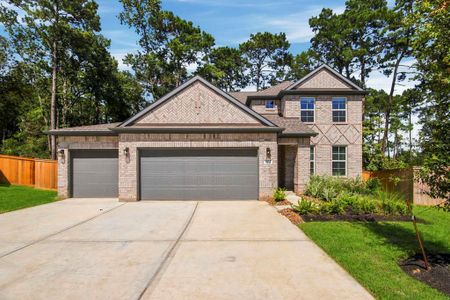 New construction Single-Family house 402 Elf Owl Ct, Willis, TX 77318 plan Lassen - image
