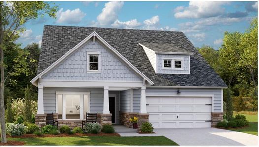 New construction Single-Family house 164 Baldric Ct, Summerville, SC 29486 plan COLLINS - image