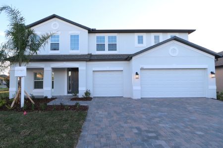 New construction Single-Family house 3063 King Fern Dr, Wimauma, FL 33598 Dali- photo 111 111