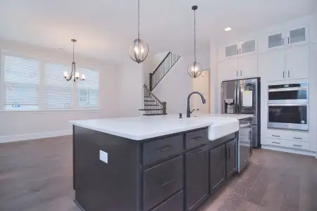New construction Single-Family house 1264 Sage Pine Cir, Clover, SC 29710 plan Bethpage - image 13