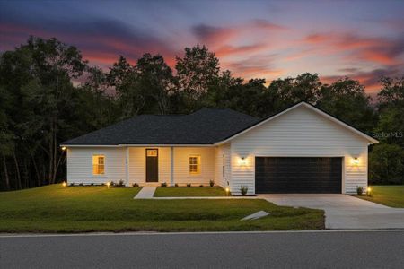New construction Single-Family house 113 Ashley Lake Dr, Melrose, FL 32666 - image