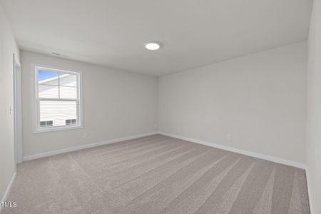 New construction Single-Family house 25 Malbec Wy, Youngsville, NC 27596 plan Rivermist - image 11