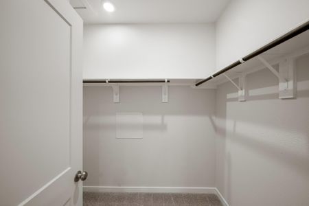 New construction Single-Family house 26123 Venus Trap Trl, Katy, TX 77493 plan Lexington - image 18