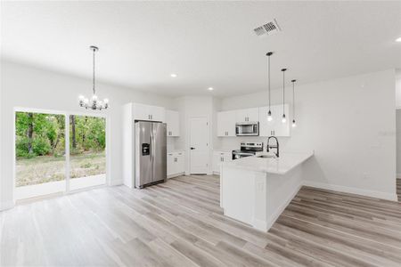 New construction Single-Family house 13053 Sw 73Rd Court Rd, Ocala, FL 34473 null- photo 3 3