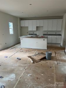 Kitchen and living area