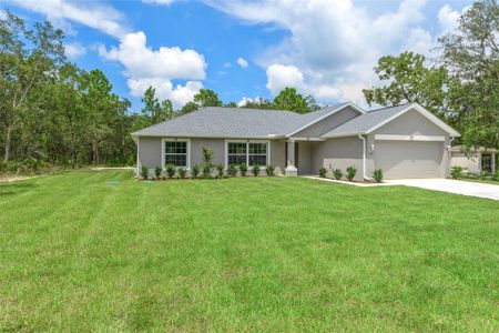 New construction Single-Family house 2492 Lackland Ave, Spring Hill, FL 34608 - image