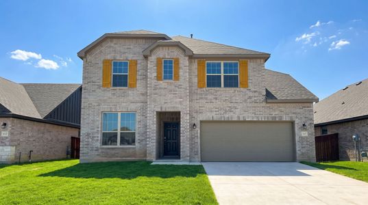 New construction Single-Family house 117 Farming Grv, Boerne, TX 78006 plan Lexington - image