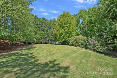 New construction Single-Family house 19002 Lakehouse Pointe Dr, Cornelius, NC 28031 - image