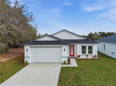 New construction Single-Family house 132 11Th Ave, Osteen, FL 32764 - image