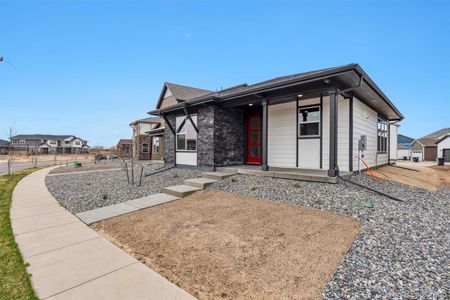 New construction Single-Family house 2273 Peregrine Dr, Brighton, CO 80601 Castlewood- photo 9 9