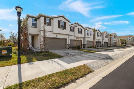 New construction Townhouse house 31464 Woodland Race Loop, Wesley Chapel, FL 33545 Venice- photo 17 17