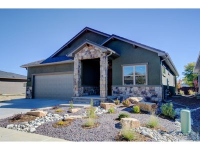 New construction Single-Family house 1158 Blue Agave Ct, Loveland, CO 80537 - image