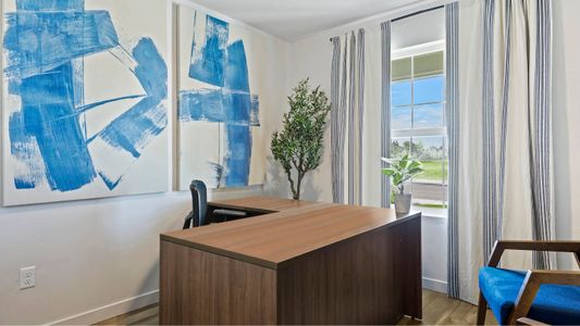 Sycamore Canyon: Dream Series 6