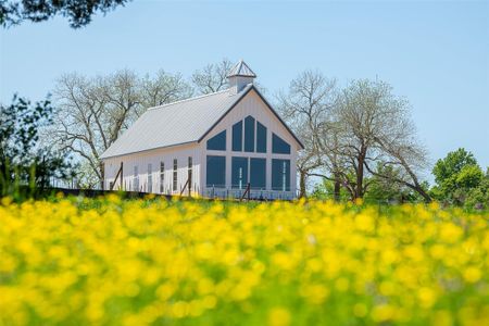 New construction Single-Family house 10035 Chester Rough Dr, Willis, TX 77318 - image 6