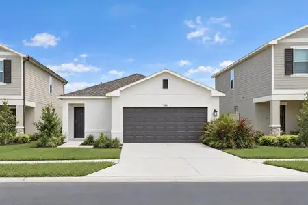 New construction Single-Family house 12449 Whisk Ct, Hudson, FL 34669 plan Spruce - image