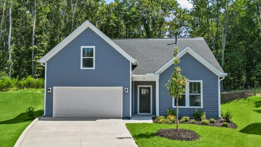 New construction Single-Family house 737 Old Magnolia Ln, Woodruff, SC 29388 plan Parker - image